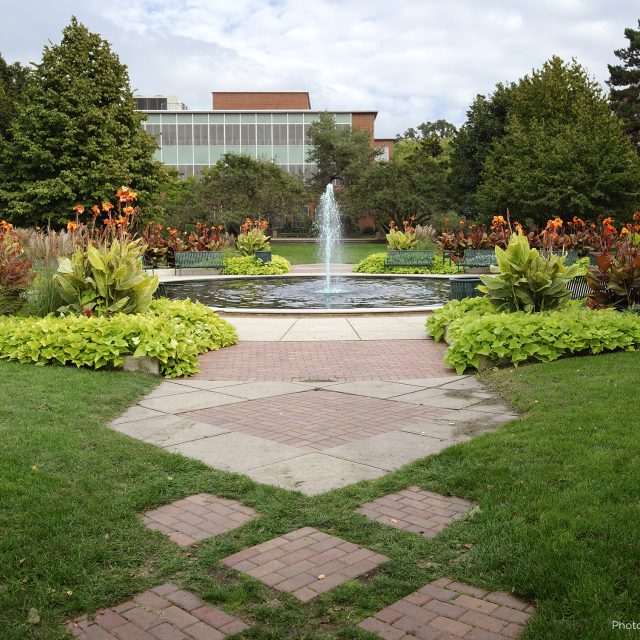 Pathway leading to a fountain on Michigan State University's campus