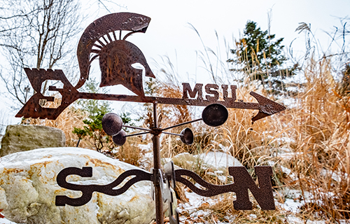 metal weathervane with MSU in the metal