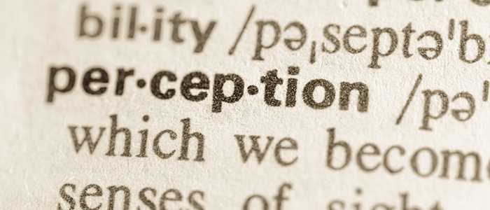 perception word graphic